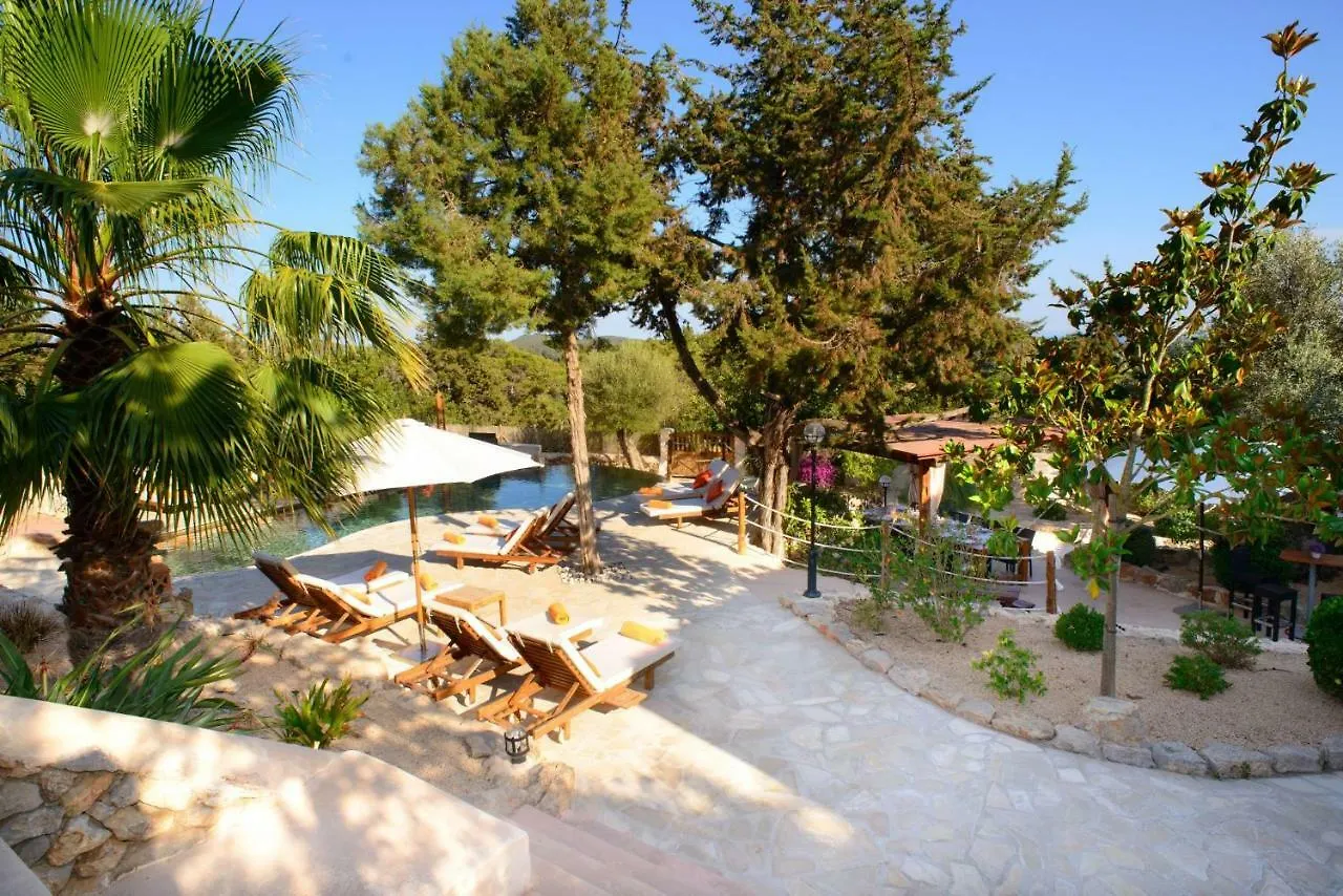 Villa Can Vich Sant Carles de Peralta Spain